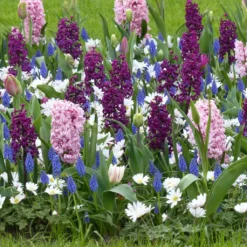 Collection Balade Parfumée